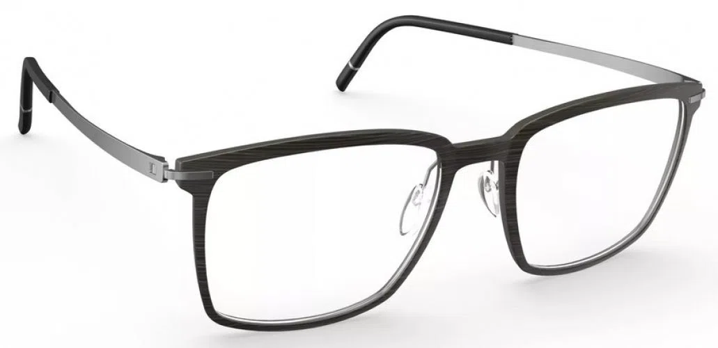 Silhouette Momentum Aurum 2950 Eyeglasses - view 2